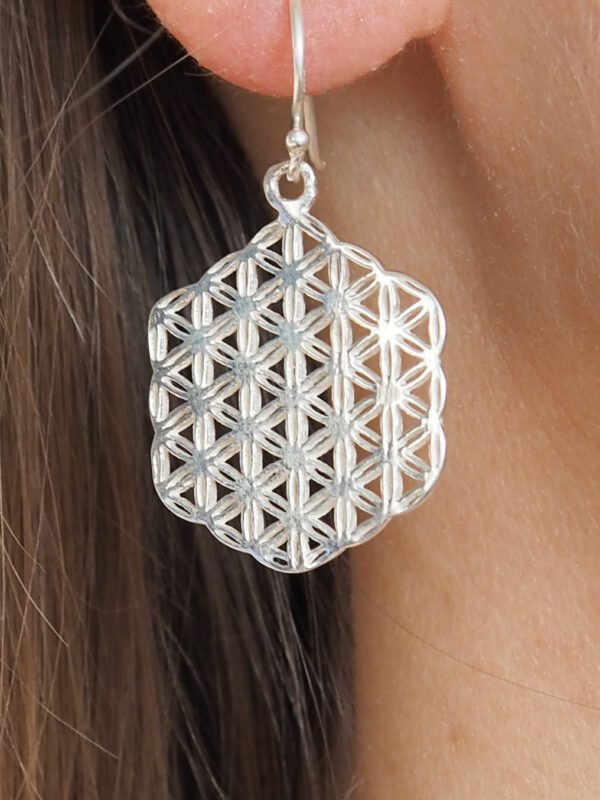Boucle d'oreille argent 925